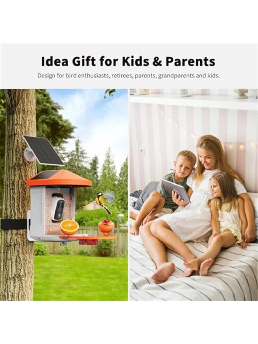New Bird Feeder with Camera with AI Identify Birds Species Solar Powered
